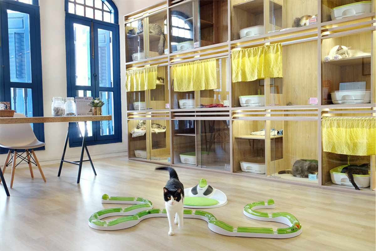 Bursa Kedi Oteli Hizmetimiz