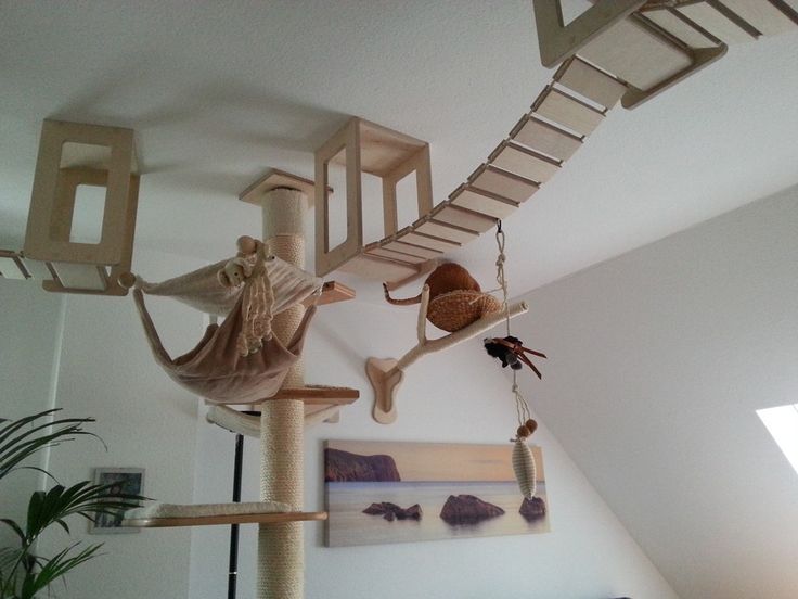 Güvenlik Önlemleri: Kediler İçin Riskler